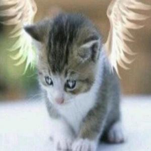 don't understand (feat. Rebzyyx) (Explicit)