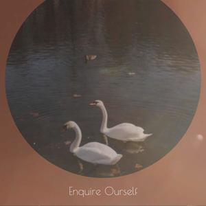 Unshackled Whereinto