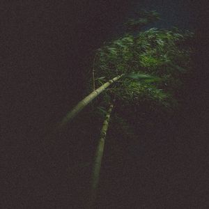 瓜蛋摇(硬曲的主人)封面