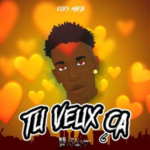 TU VEUX CA (feat. Keks Mafia)