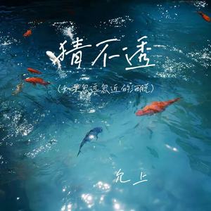 猜不透(如果忽远忽近的洒脱)