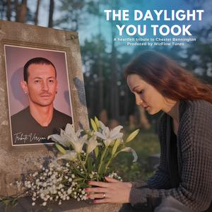The Daylight You Took