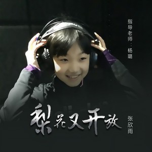 梨花又开放