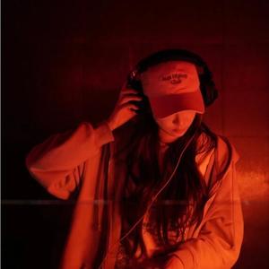 萝卜还是纸巾 (萝卜纸巾猫咪)