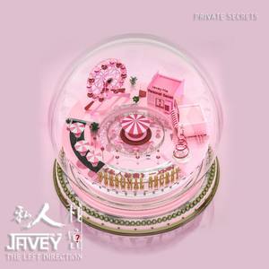 私人秘密 (伴奏)