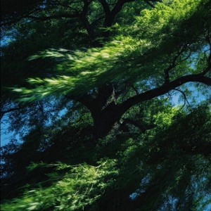 If You See Me Calling