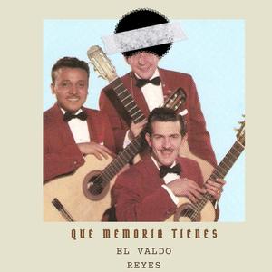 Que memoria tienes (cover)