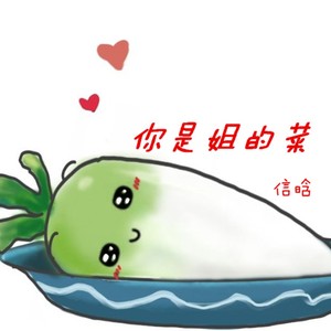 信晗 - 你是姐的菜 (动感DJ)