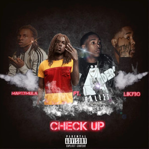 Check up (feat. Likybo) (Explicit)