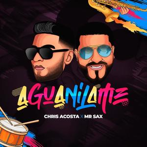 Aguanilame (feat. MrSax) [radio edit]