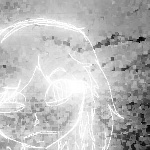 Admirations of Self-Destruction