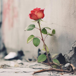 From the concrete (Explicit)