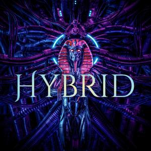 Hybrid (Explicit)