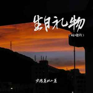 生日礼物-弹棉花的小花