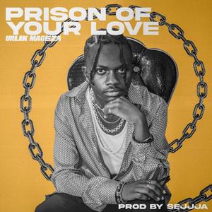 PRISON OF YOUR LOVE