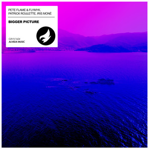 Bigger Picture (VIP Extended Mix)