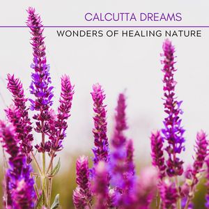 Wonders Of Healing Nature (Original Mix)
