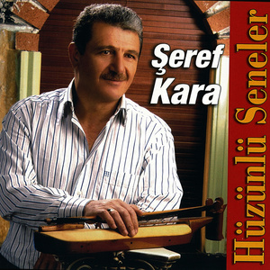 Hüzünlü Seneler