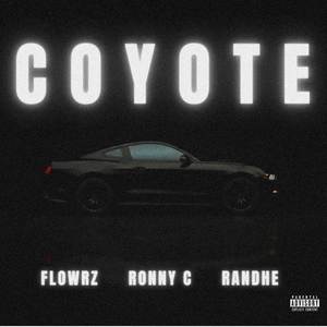 COYOTE (Explicit)