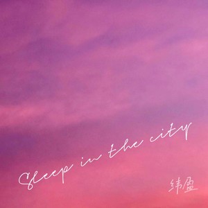 sleep in the city (Demo)