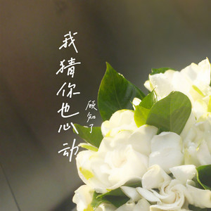 我猜你也心动