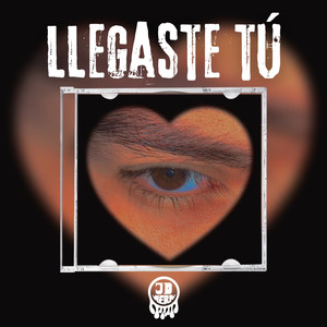 Llegaste tu