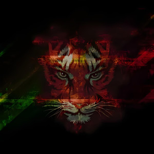 Constriction（压迫感）