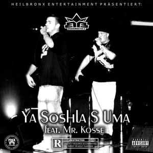 Ya Soshla S Uma (feat. Mr. Kosse) [Explicit]