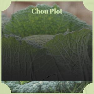 Chou Plot