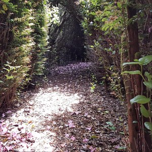 Back Country[feat. Isaac Narell & Paul Biondi] (Final Remix)