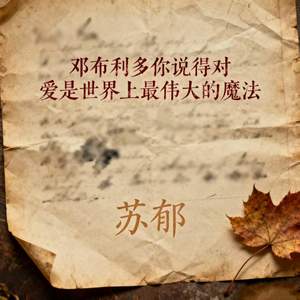 邓布利多你说得对 爱是世界上最伟大的魔法