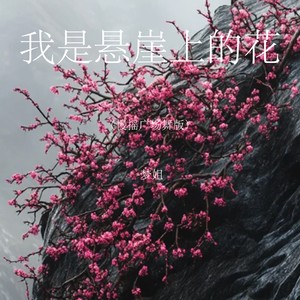 我是悬崖上的花-梦姐