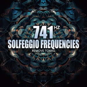 741 Hz Solfeggio Frequencies (Remove Toxins)