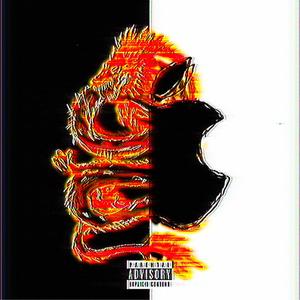 Apple Pay (Explicit)