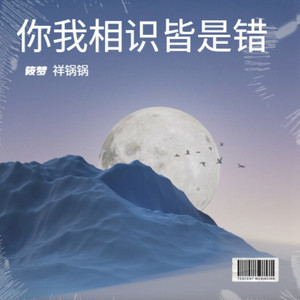 你我相识皆是错 (伴奏)