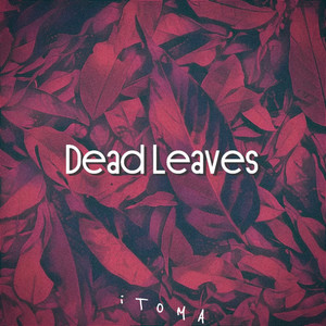 Dead Leaves (Explicit)