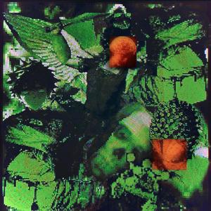 intoxicated/fyre panser (Explicit)