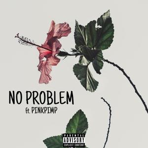 NO PROBLEM (Explicit)