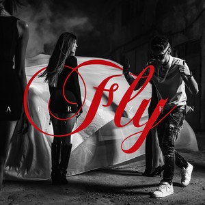 FLY (Explicit)