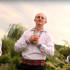 Beau Cu Socru Și Cumnatu