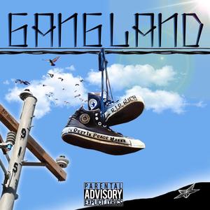 Gangland (feat. TX G doll) [Explicit]