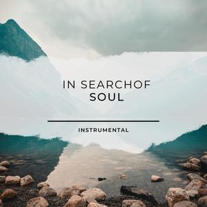 In Search of Soul