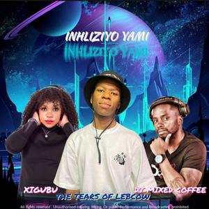 Inhliziyo (feat. Xigubu & Dj Mixed coffee) (Remix)