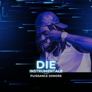 Die Instrumentale