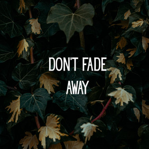 Don't Fade Away