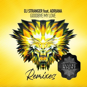 Goodbye My Love (Edvard Hunger Remix)