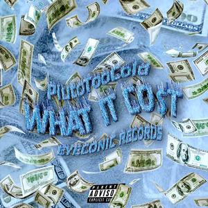What It Cost (Explicit)