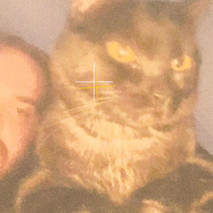 dodge (Explicit)