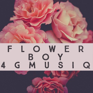Flower Boy (Explicit)
