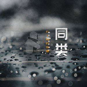 同类封面